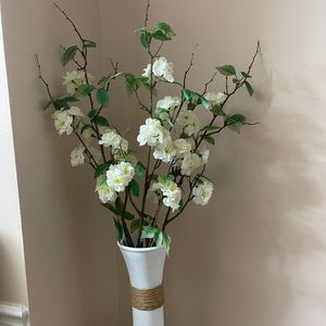 Sherry Blossom espigas